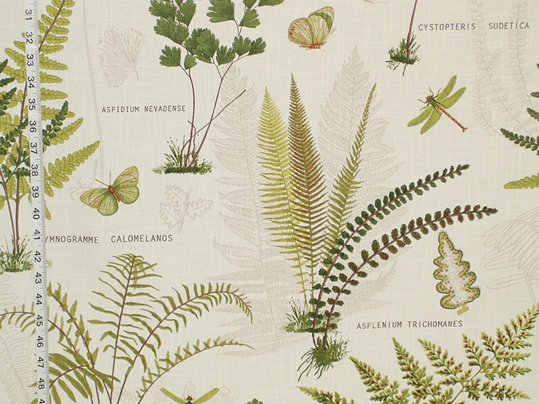Glorious GardenSweet Fern 100/% Cotton Fabric #584